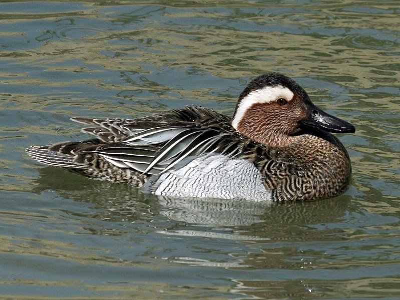 Foto: Wikimedia Commons/Dick Daniels
